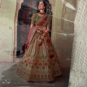 Traditional Indian Saree